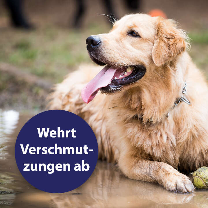 Canosept Fellpflegespray für Hunde 250 ml
